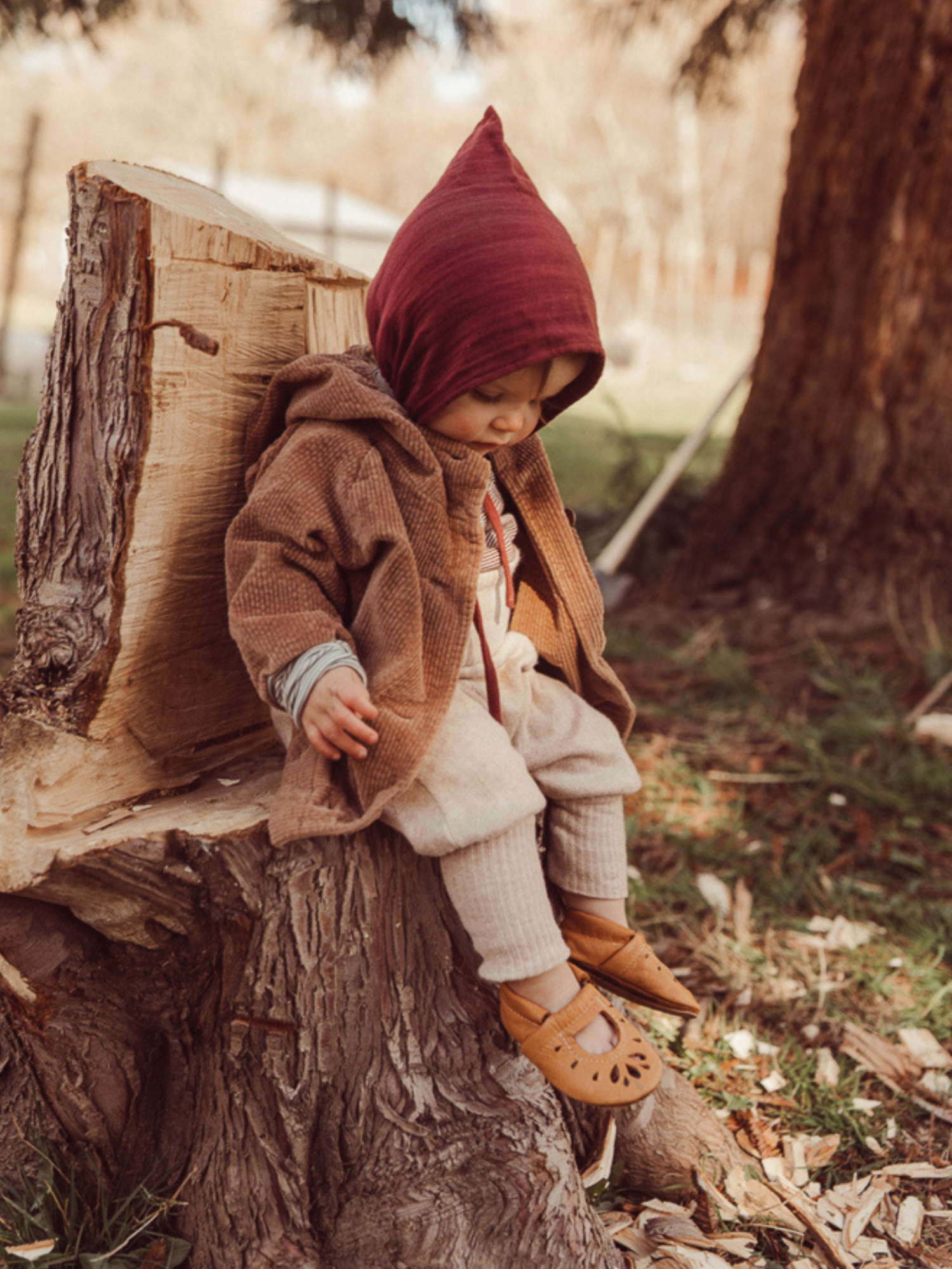 Ein Kind sitzt auf einem Baumstumpf und trägt die Wichteljacke Breitcord Stretch - Weizen mit Wichtelkapuze, sichtbaren Ringel-Armbündchen und einem lockeren, mitwachsenden Schnitt.