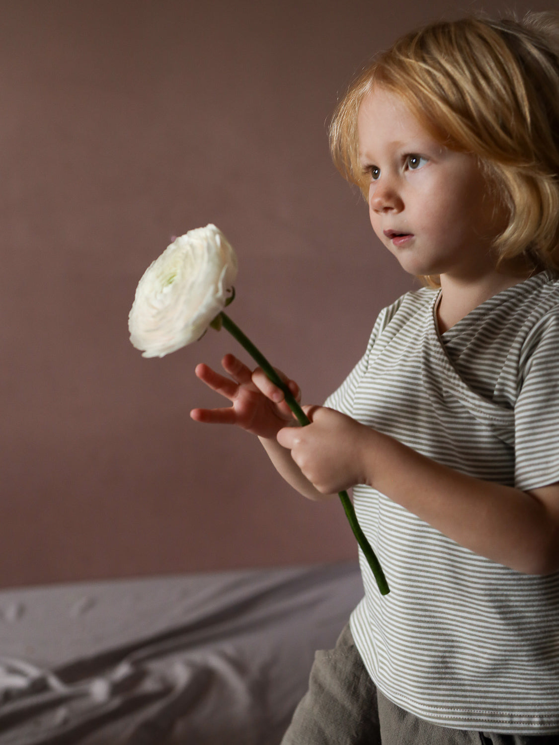 Ein Kind hält eine weiße Blume und trägt das Kurzes Wickelshirt Baumwolle - Ringel Salbei, ein kurzärmeliges, fein gestreiftes Oberteil, angenehm weich, handgemacht in Berlin.