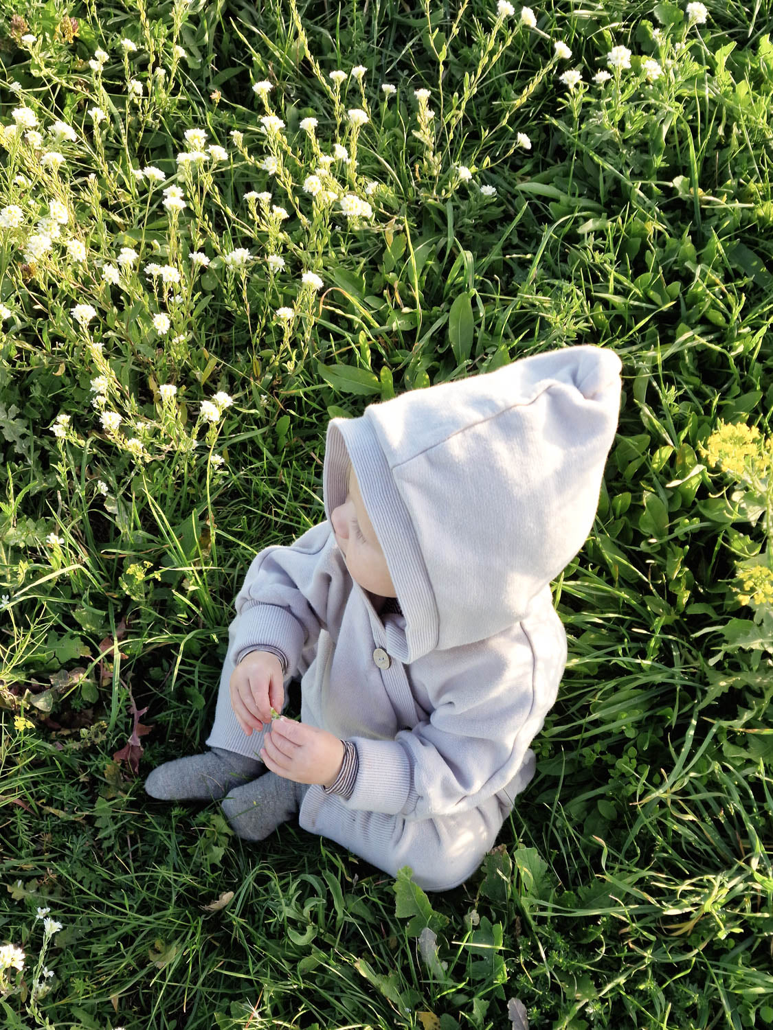 Ein Baby in einem Kuschelanzug Bio-Sweat - Sand mit Wichtelkapuze sitzt im Gras. Der Anzug wirkt weich und bequem und scheint für verschiedene Wetterbedingungen geeignet zu sein. Erstausstattung Baby und Baby Geschenk zur Geburt.