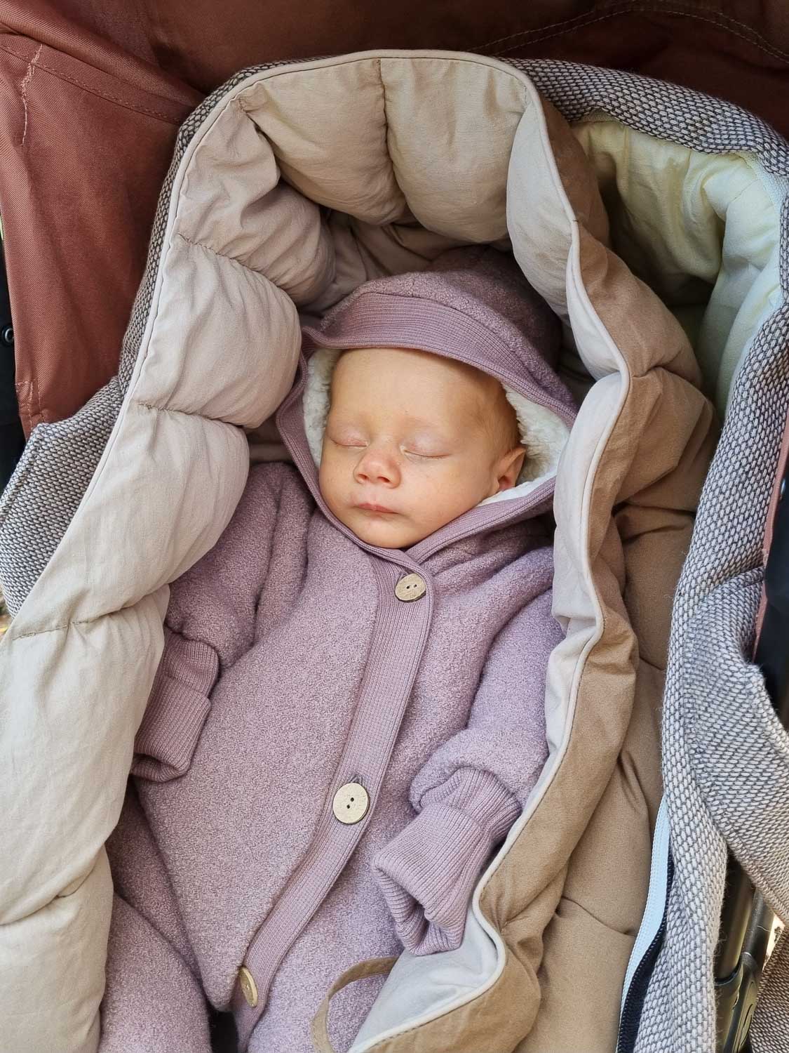 Baby schläft im Kinderwagen, eingehüllt im Teddy-Kuschelanzug Wollwalk - Puder, mit flauschigem Teddyfutter für maximale Wärme und Komfort an kalten Tagen. Schneeanzug für Babys