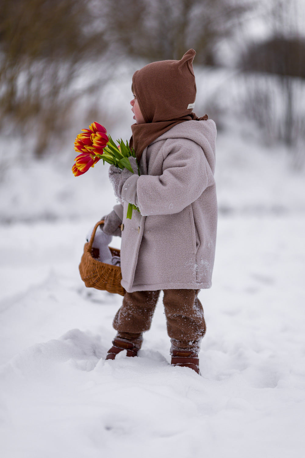 Knickerbocker woolwalk - chestnut