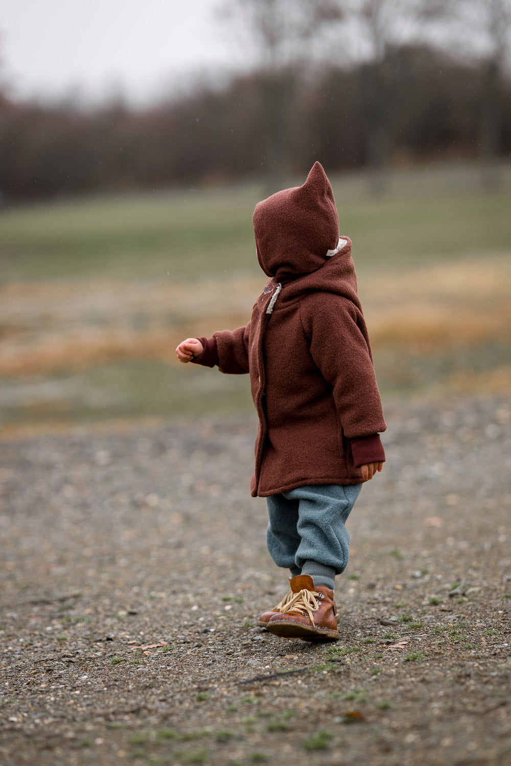 Wool Pixie Jacket with - chestnut