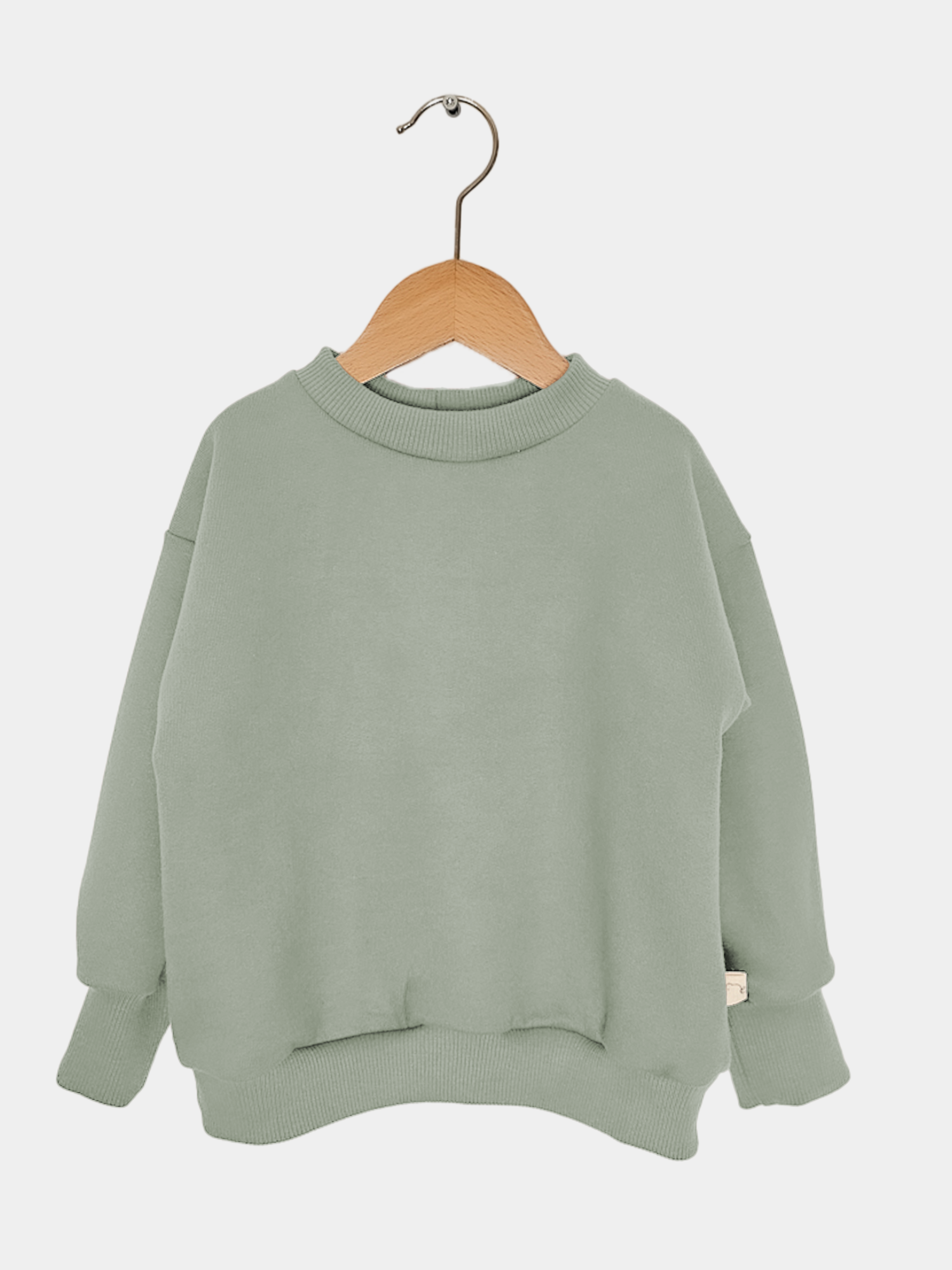 Leichter Pulli Bio-Sweat - Aqua: Langarm, gerader Schnitt, gerippte Bündchen, auf Holzkleiderbügel präsentiert, ideal für Bewegungsfreiheit und Komfort, aus weichem, angerautem, GOTS-zertifiziertem Bio-Stoff gefertigt.