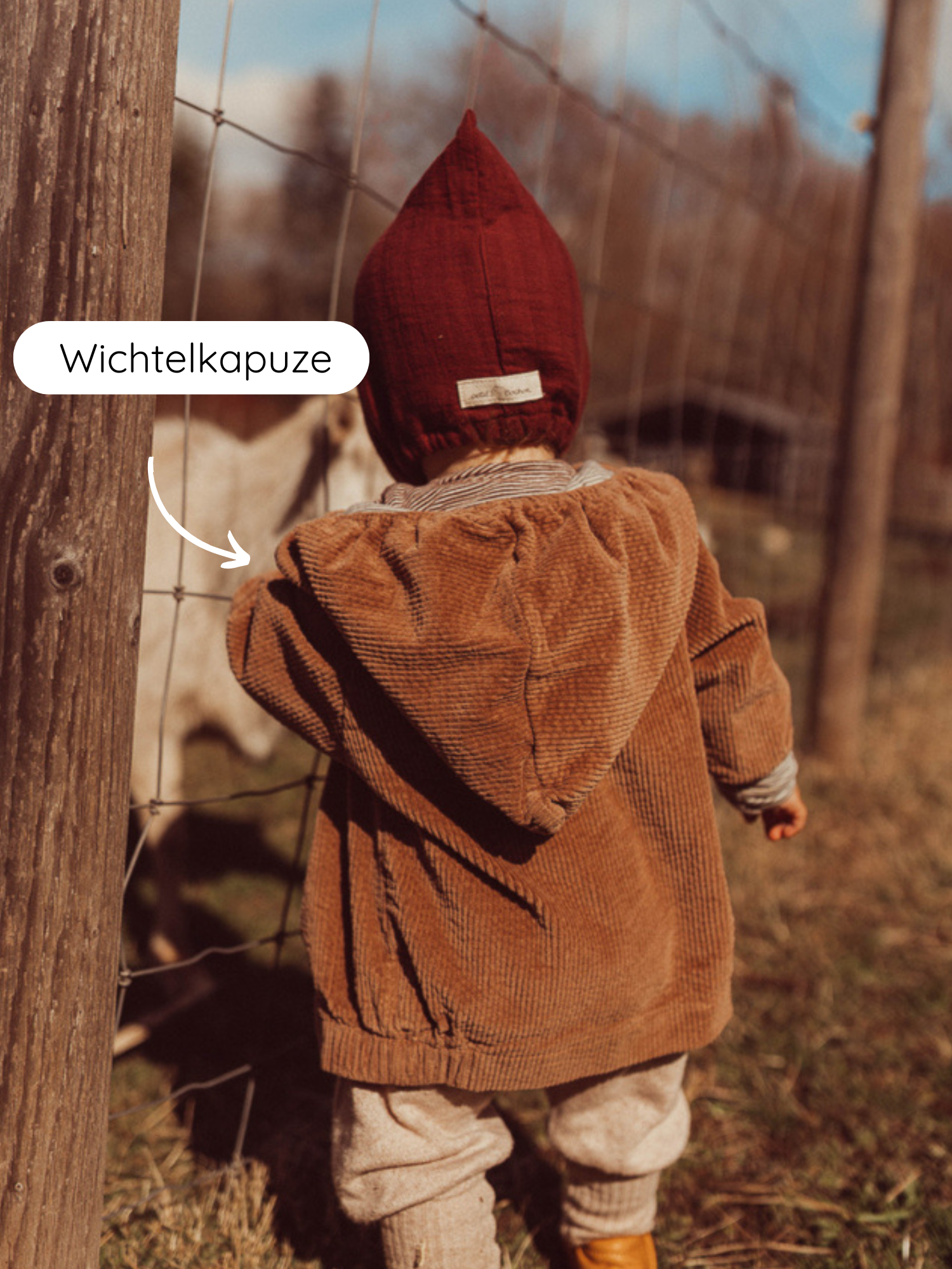 Ein Kind trägt die Wichteljacke Breitcord Stretch - Weizen mit einer auffälligen Wichtelkapuze aus Cord, betrachtet Ziegen hinter einem Zaun auf einem Bauernhof, warmes, herbstliches Ambiente.