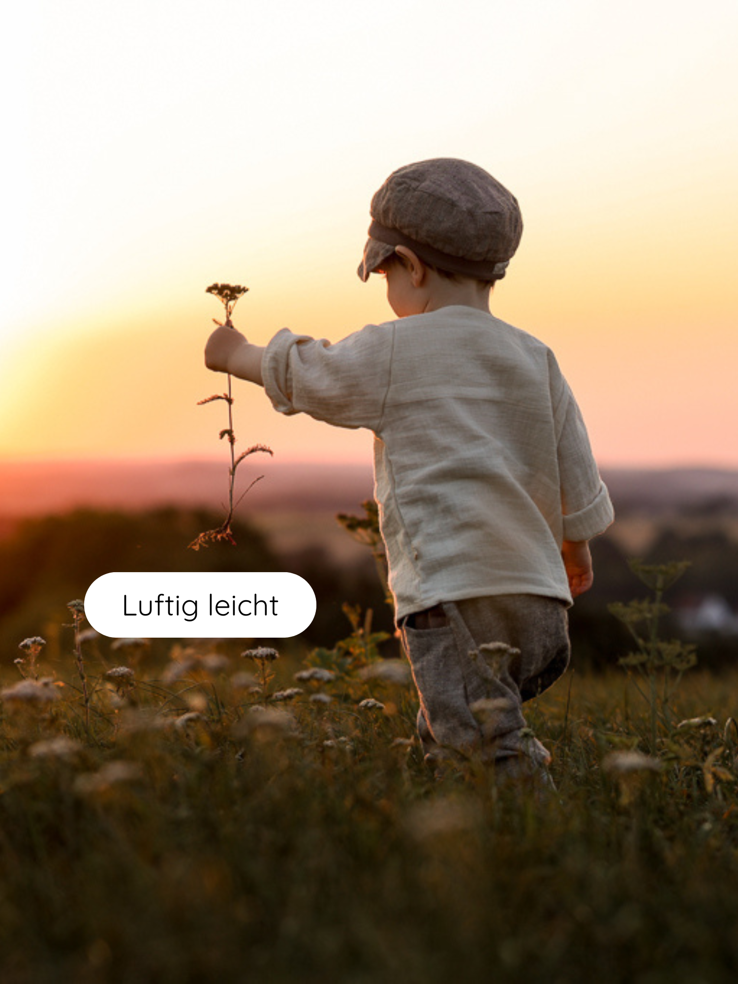 Ein Kind im Profil trägt das Hemdchen Bio-Musselin - Natur, aus lockerem, atmungsaktivem Stoff, während es in einem von der Abendsonne erleuchteten Feld eine Wildblume hält.