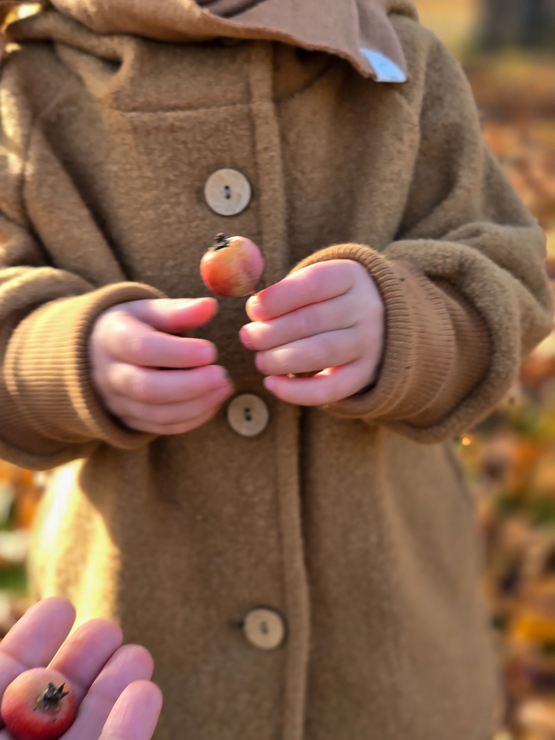 Ein Kind hält eine Frucht in der Hand und trägt die Wichteljacke Wollwalk - Kamel, die aus Wollwalk mit Bio-Baumwoll-Jersey-Futter gefertigt ist und große Bewegungsfreiheit bietet. nachhaltige Wollwalk Jacke für Kinder