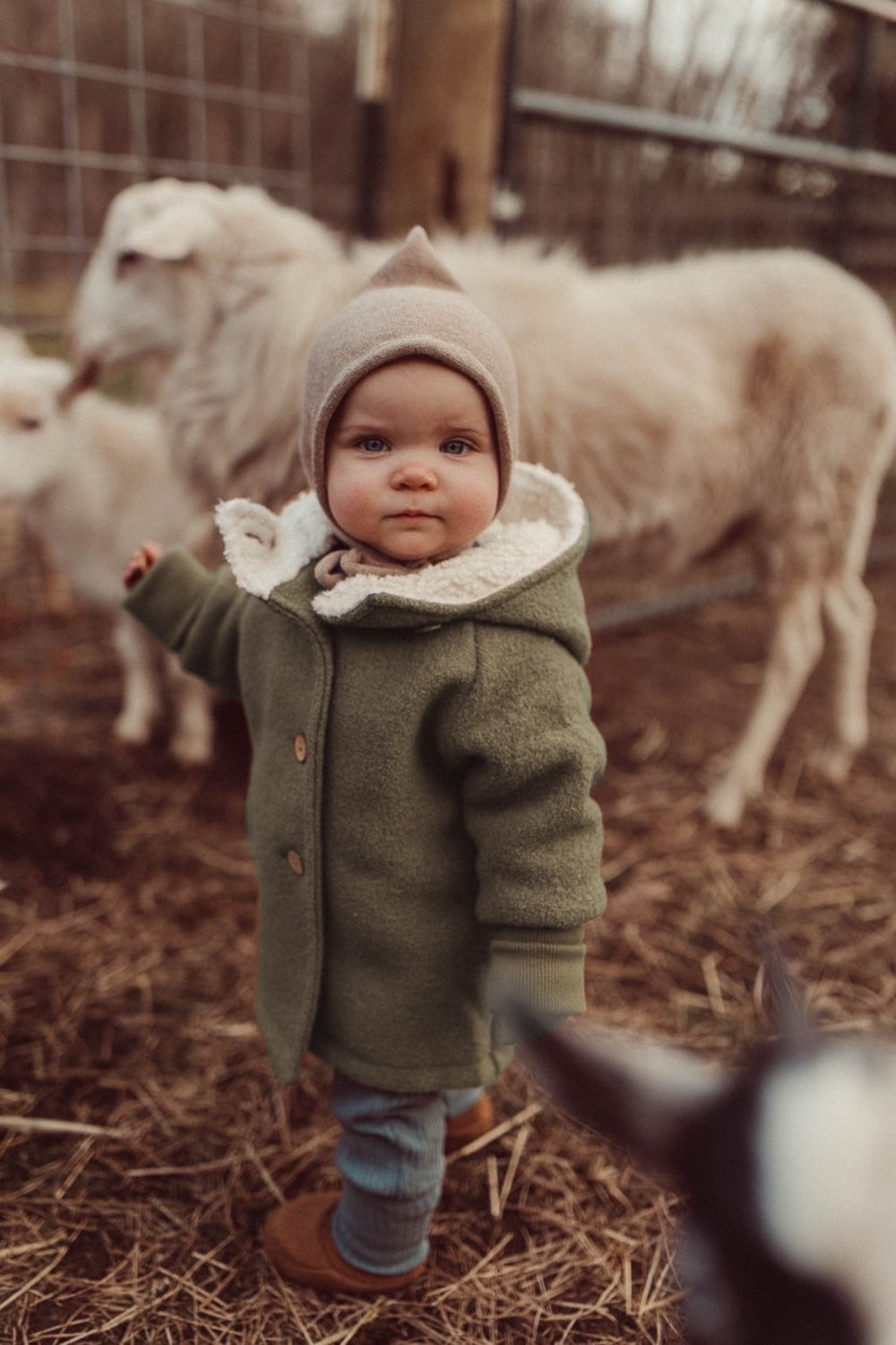 Wool Pixie Jacket with Teddy - mauve