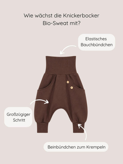 petit cochon Knickerbocker Hose aus schokobraunem Bio-Sweat mit elastischen Bündchen und Kokosknöpfen