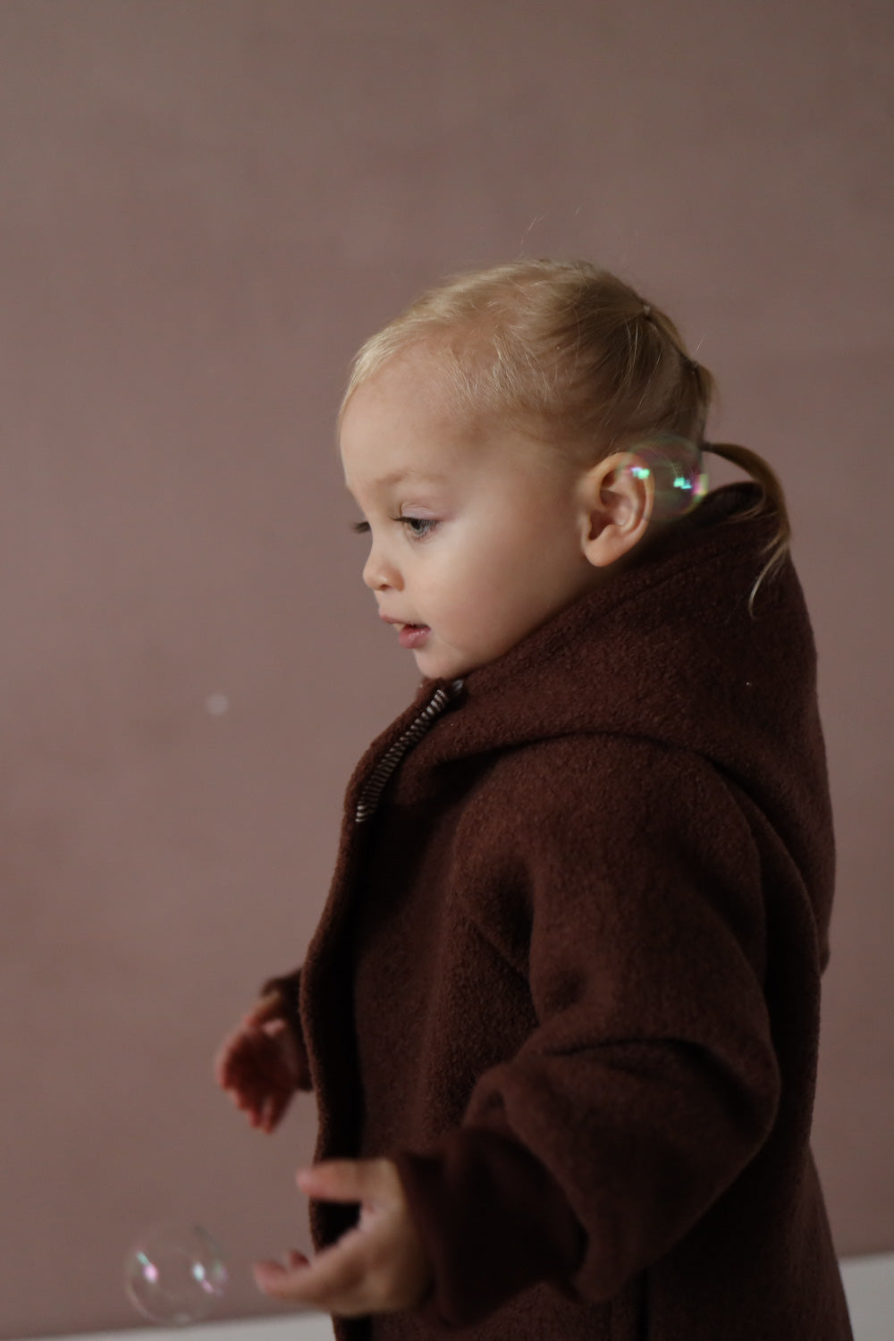 Wool Pixie Jacket with - chestnut